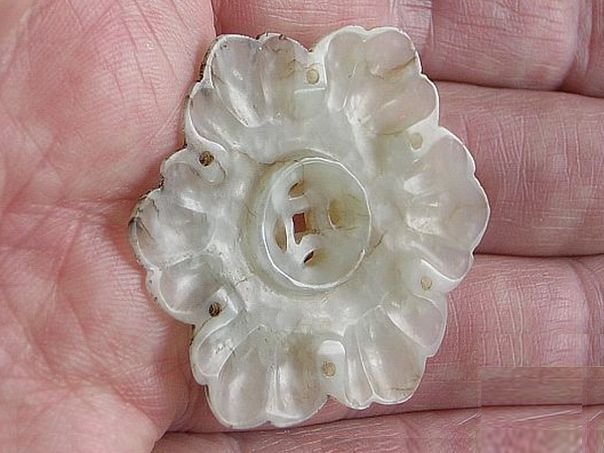 Flower 584 - (3673)